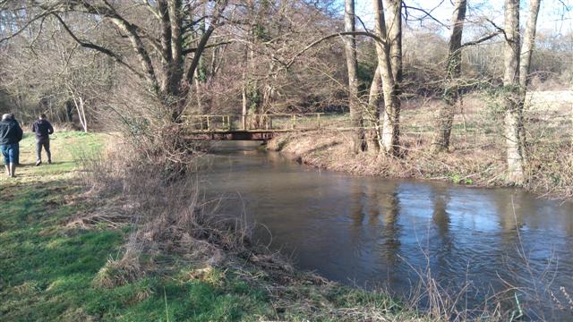 Knowle Water Meadows pic 1